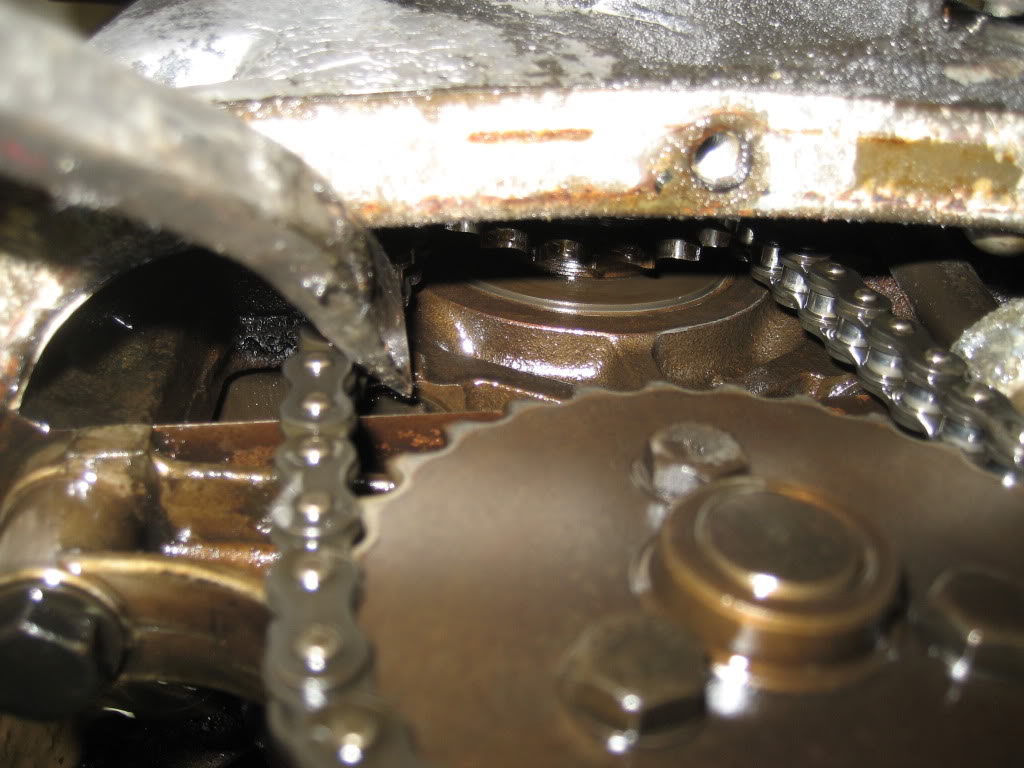Timing chain rattle? BMW 2002 and other '02 BMW 2002 FAQ