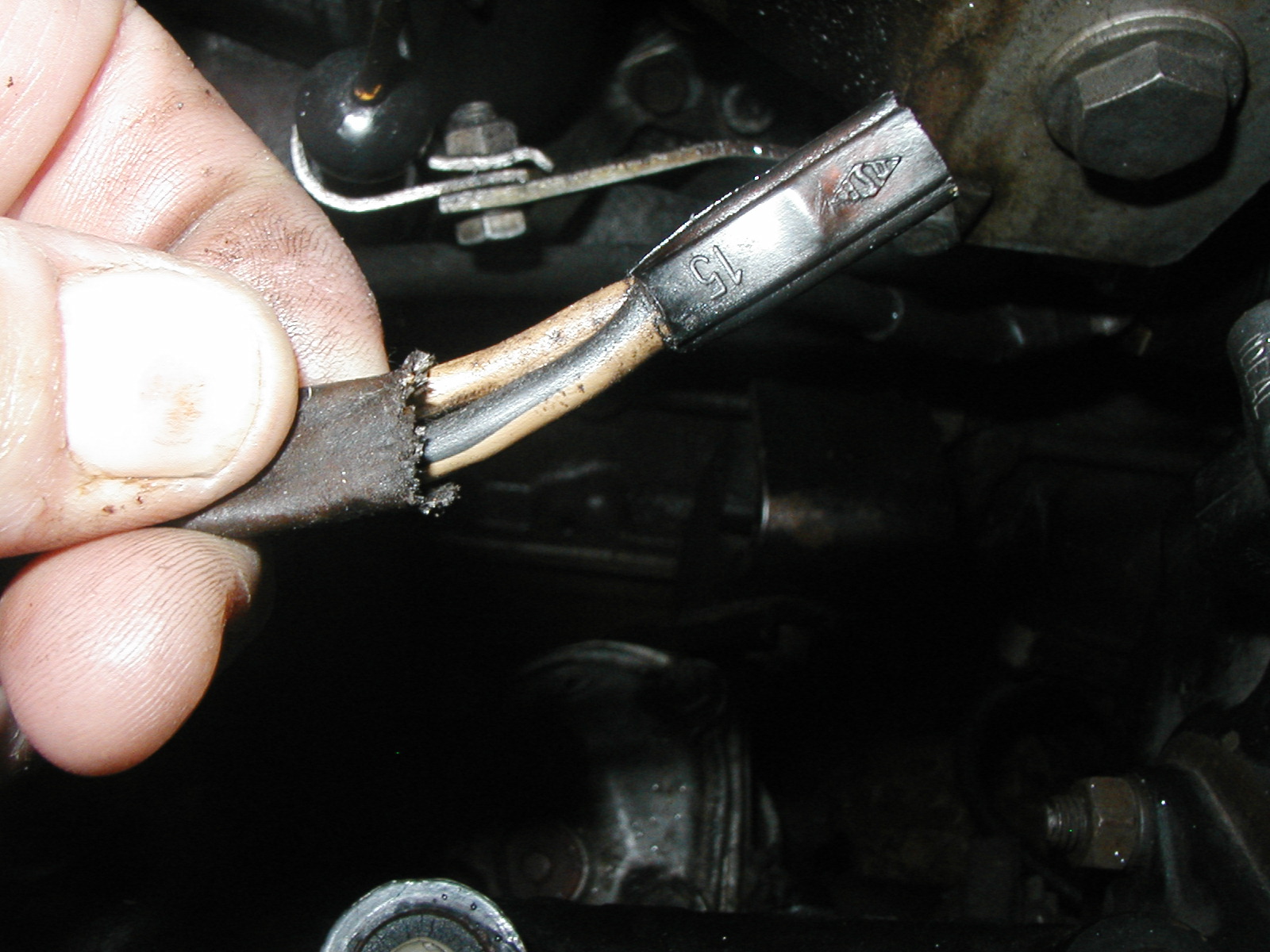 Continuity test between Alternator and Voltage Regulator ﻿ BMW 2002 and other '02