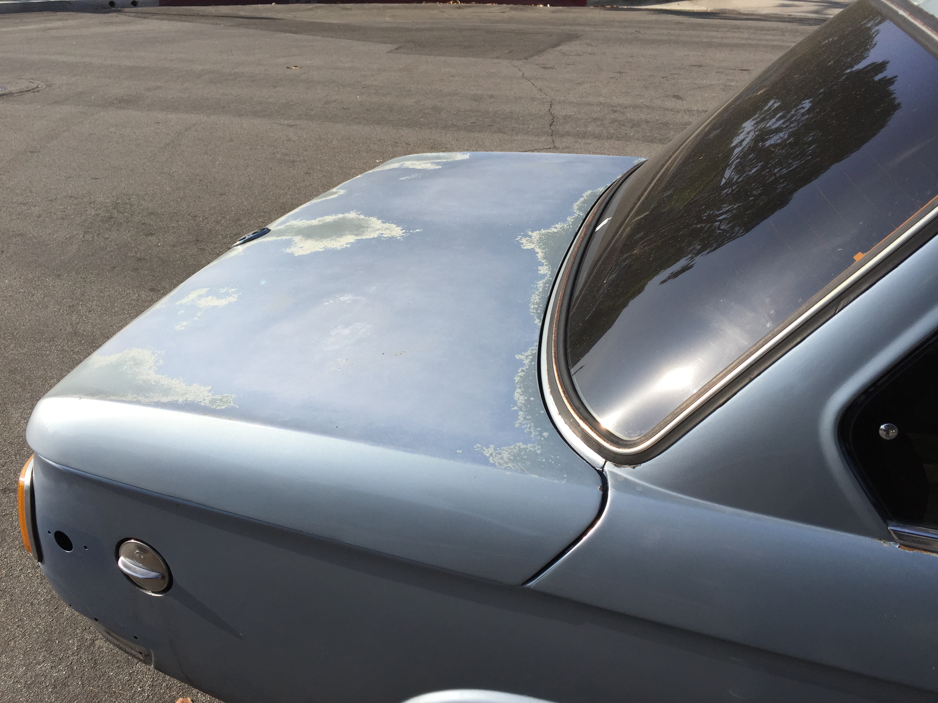 Tijuana Paint Job, Los Panchos My Review Long...pic heavy ﻿ BMW 2002