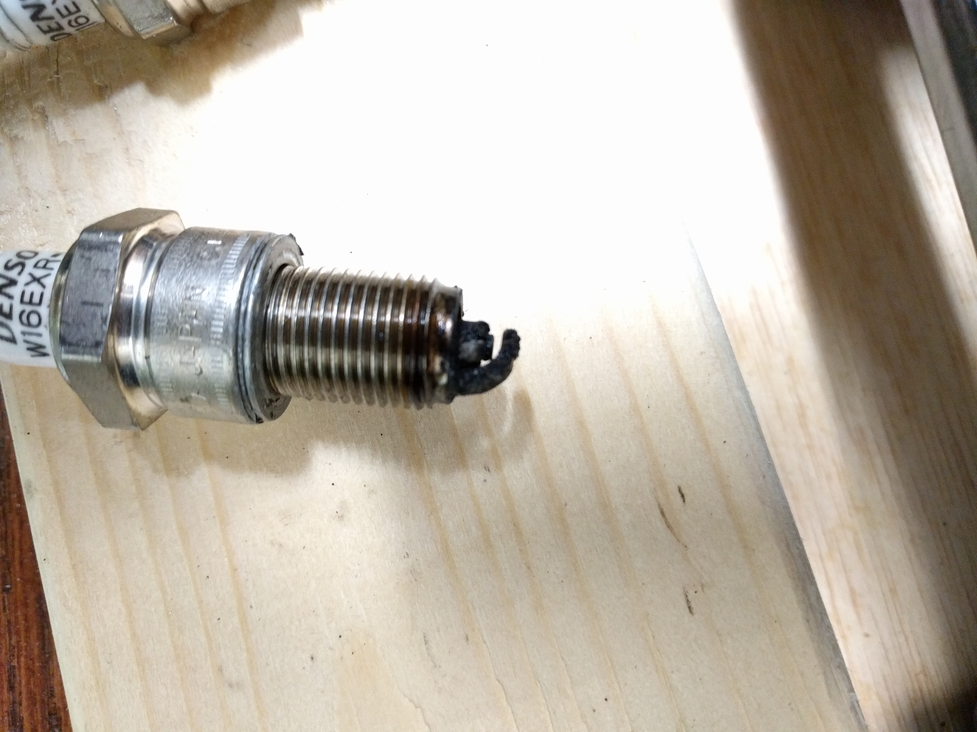 Bad valve stem seal? ﻿ BMW 2002 and other '02