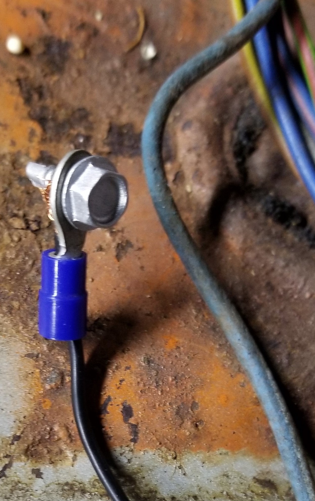 Hella High Center Brake Light ﻿ Miscellaneous