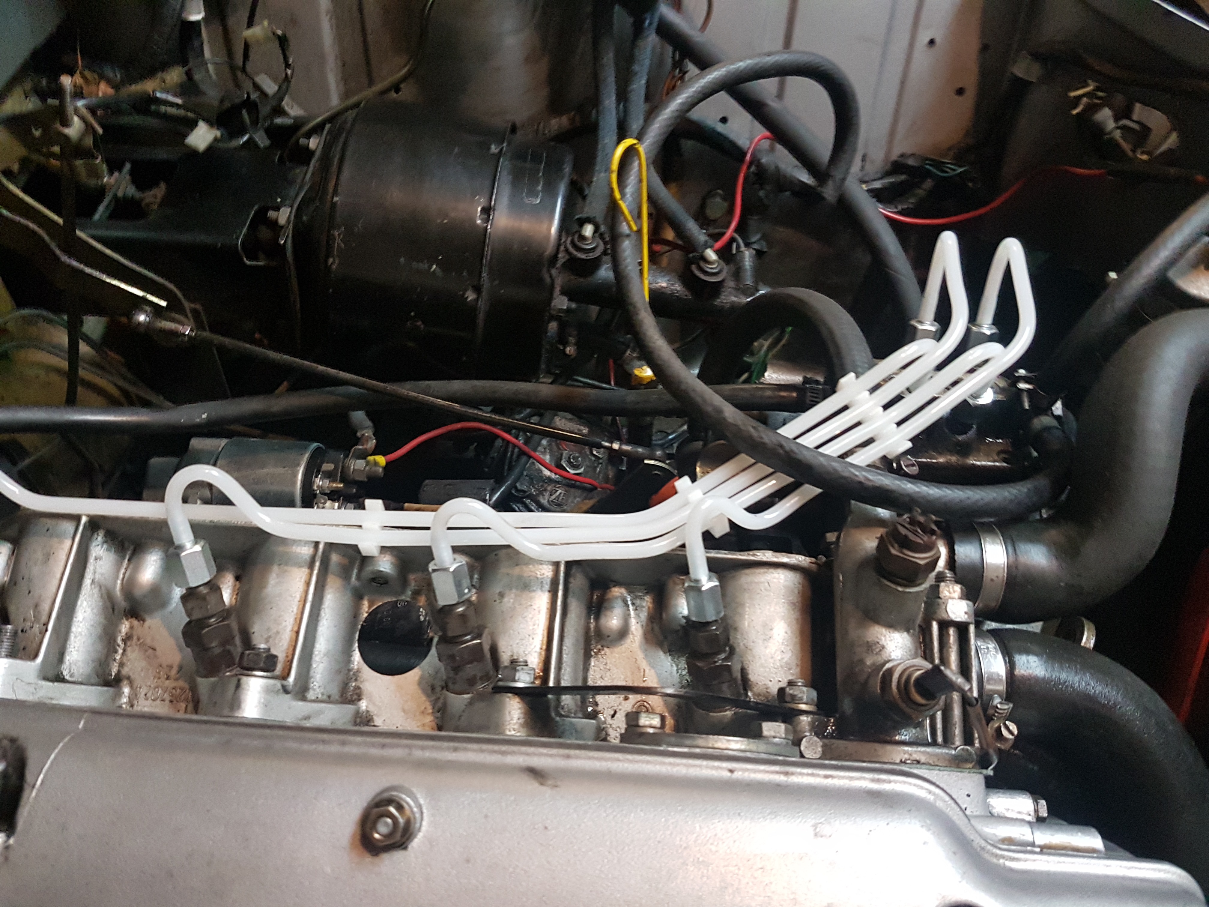 Tii Fuel injection lines found a source. ﻿ BMW 2002 and other '02