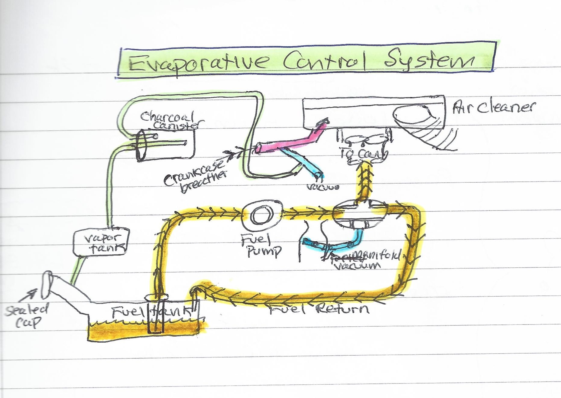 Charcoal Canister plumbing question ﻿ BMW 2002 and other '02