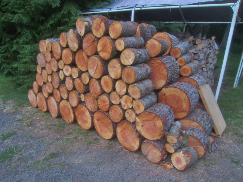 IMG_0191 (1280x960).jpg