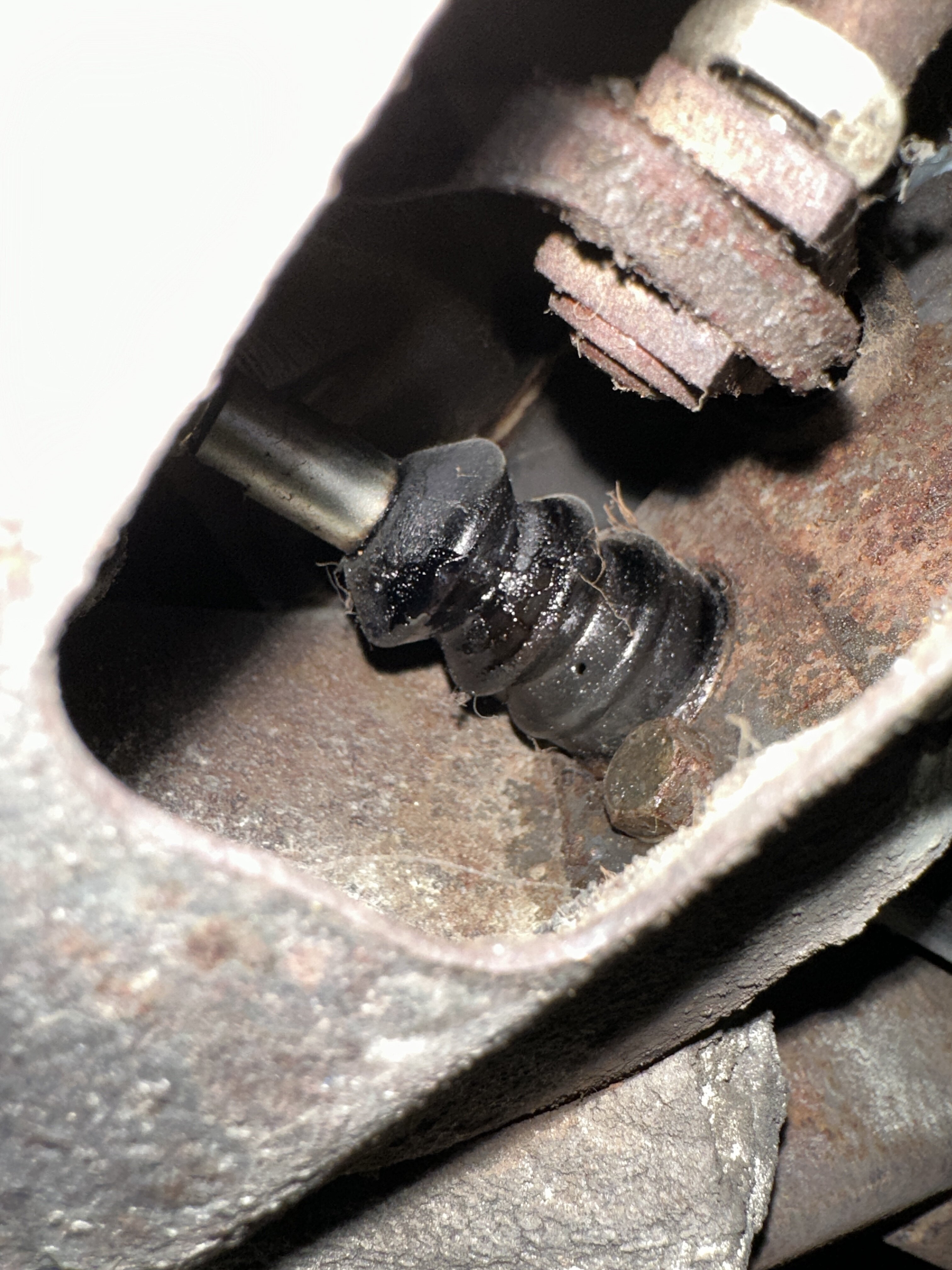 Clutch pedal doesn’t come back up fully ﻿ BMW 2002 and other '02
