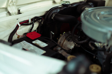 PPS93511.jpg