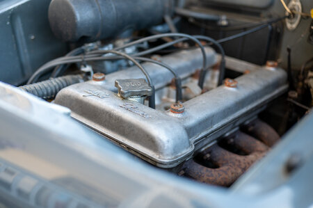 PPS93743.jpg
