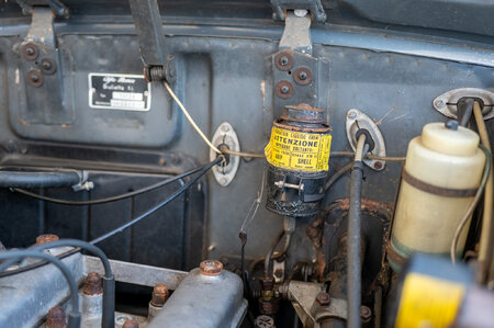 PPS93744.jpg