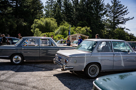 PPS94043.jpg