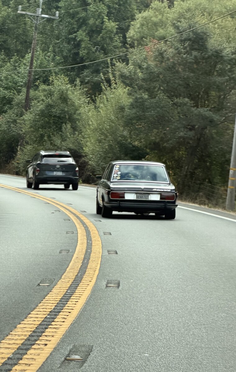 Classic BMWs following a tree-lined bend in the road