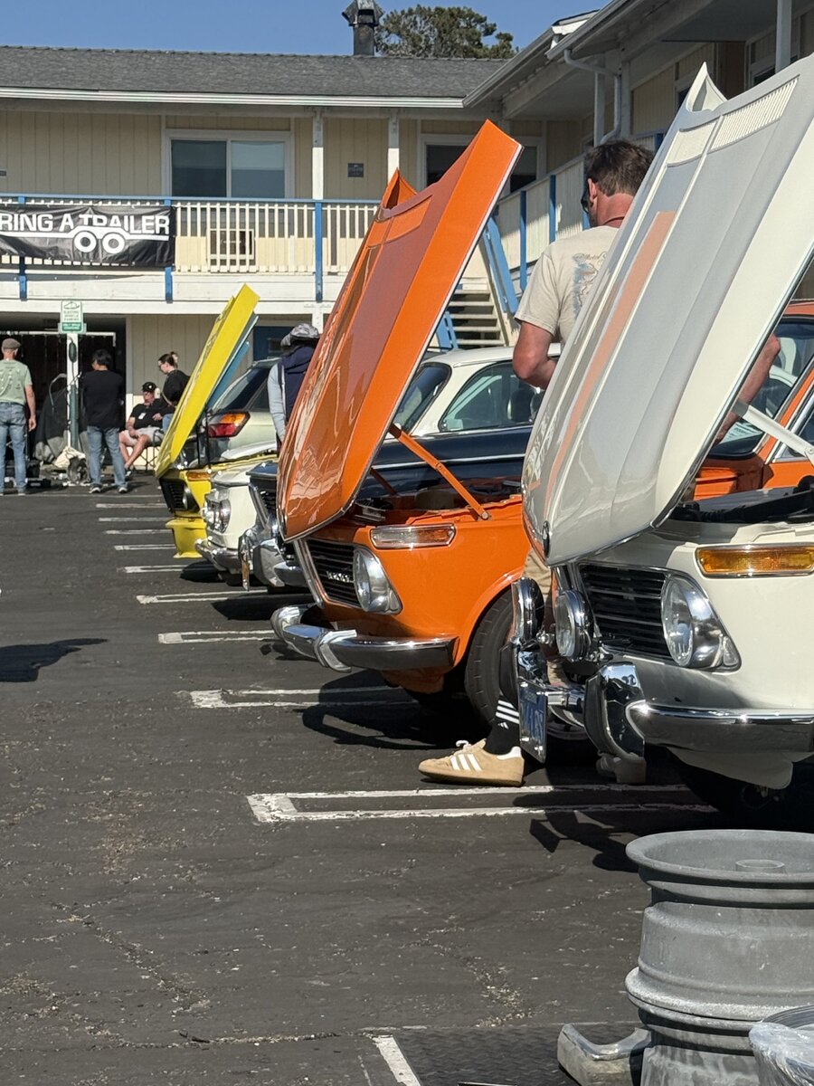 A row of raised hoods invites a closer look at the car show