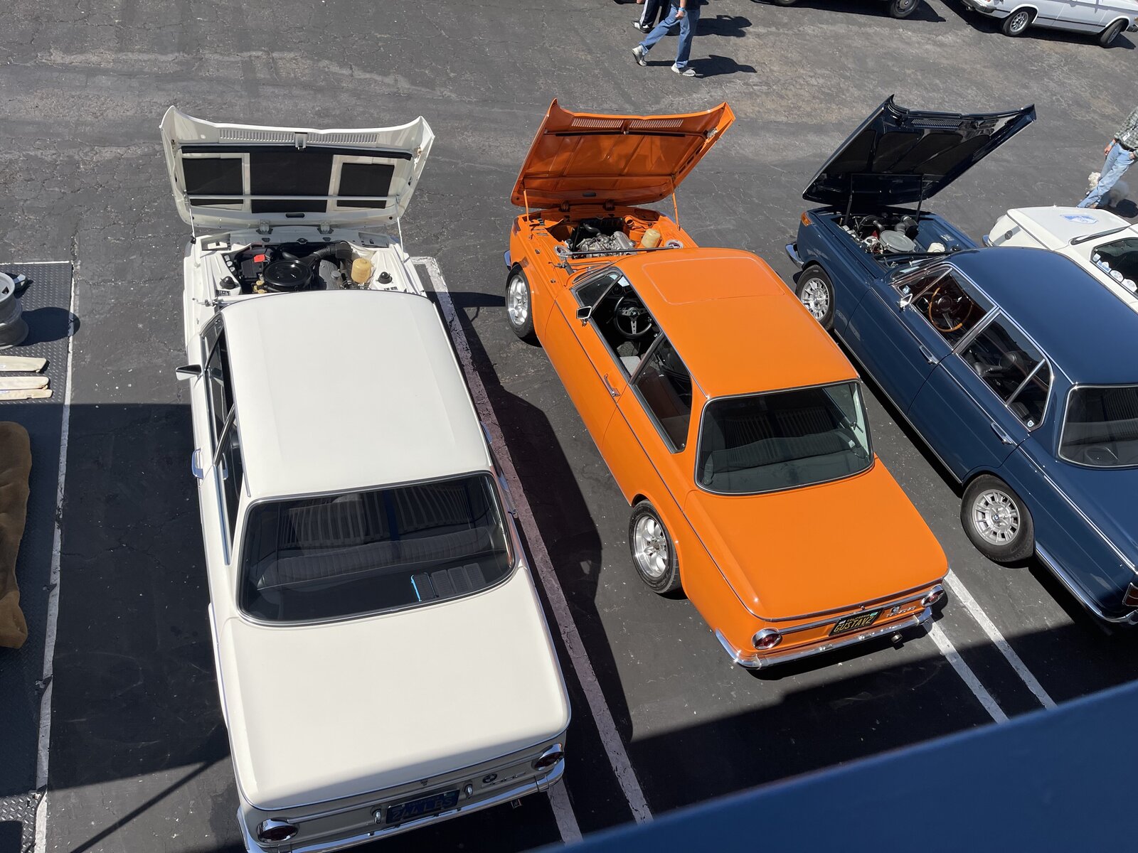 White, orange, and blue BMWs lined up with their hoods open